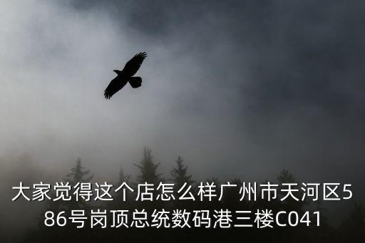 大家覺(jué)得這個(gè)店怎么樣廣州市天河區(qū)586號(hào)崗頂總統(tǒng)數(shù)碼港三樓C041