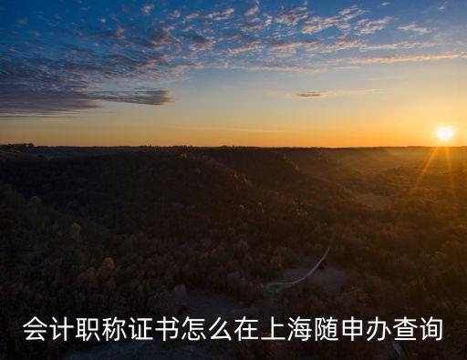 上海市職稱查詢怎么查，上海市職業資格證書怎么查詢