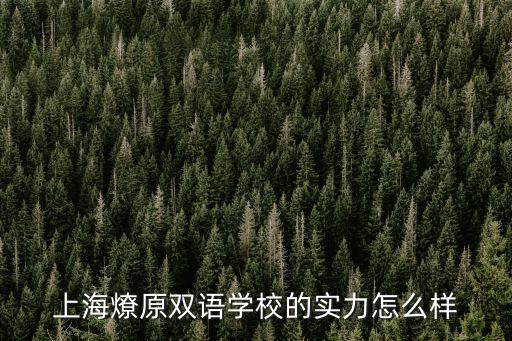 上海燎原雙語學校的實力怎么樣