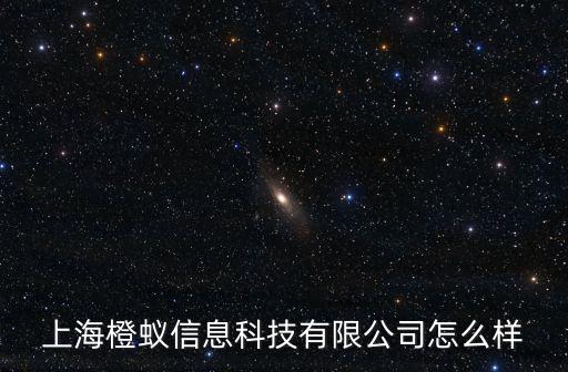 上海橙蟻信息科技有限公司怎么樣