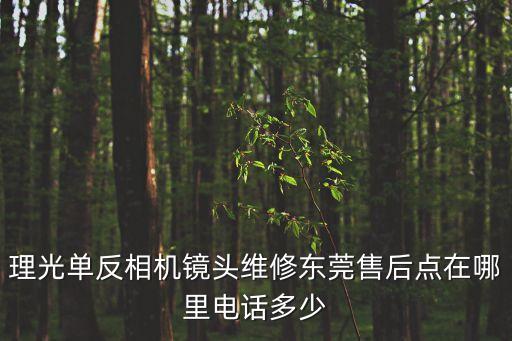 理光單反相機鏡頭維修東莞售后點在哪里電話多少