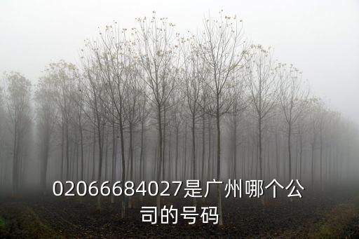 02066684027是廣州哪個公司的號碼