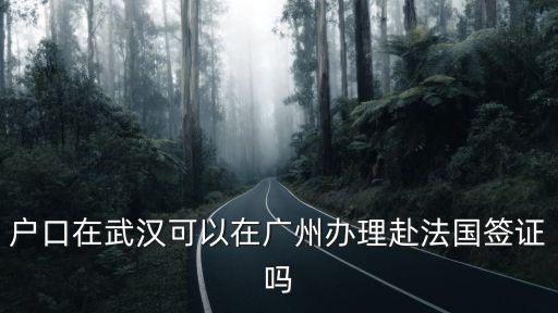 戶口在武漢可以在廣州辦理赴法國簽證嗎