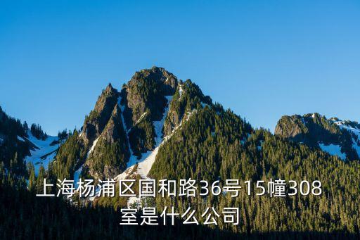 上海市西禹鏈接公司，上海楊浦區國和路36號15幢308室是什么公司