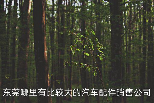 東莞配套公司，東莞配藥公司除了仁正一君還有哪些醫(yī)藥公司也配送