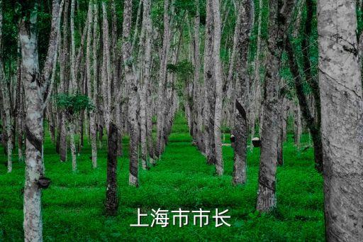 2003年上海市委書記和副書記，市長書記誰列第一副書記哪位能告訴我