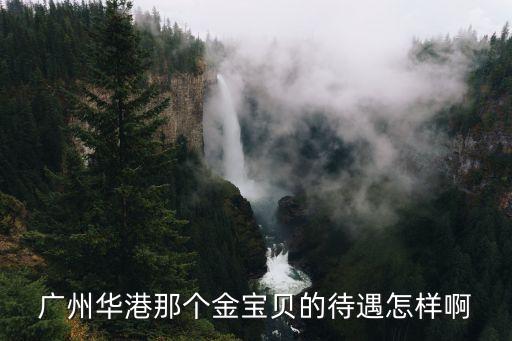 金寶貝廣州招聘，廣州華港那個金寶貝的待遇怎樣啊