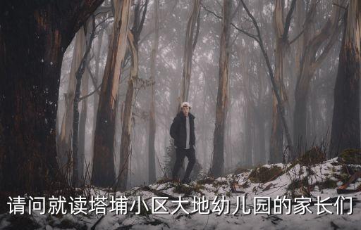 請問就讀塔埔小區大地幼兒園的家長們