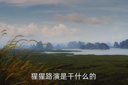 猩猩路演是干什么的