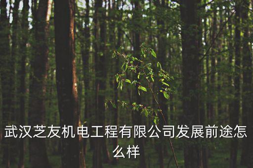 武漢芝友機電工程有限公司發(fā)展前途怎么樣