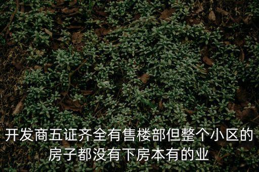 開發(fā)商五證齊全有售樓部但整個(gè)小區(qū)的房子都沒有下房本有的業(yè)