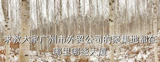 求教大家廣州市外貿公司的聚集地都在哪里哪些大廈