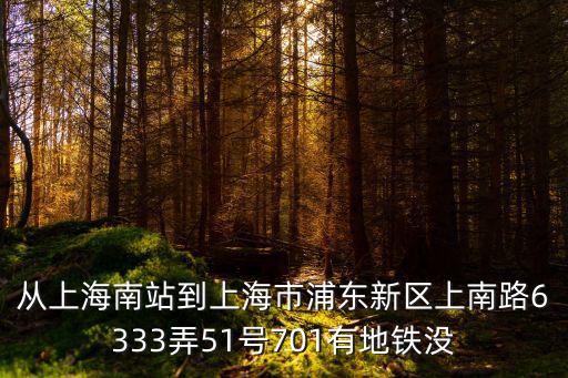 從上海南站到上海市浦東新區上南路6333弄51號701有地鐵沒