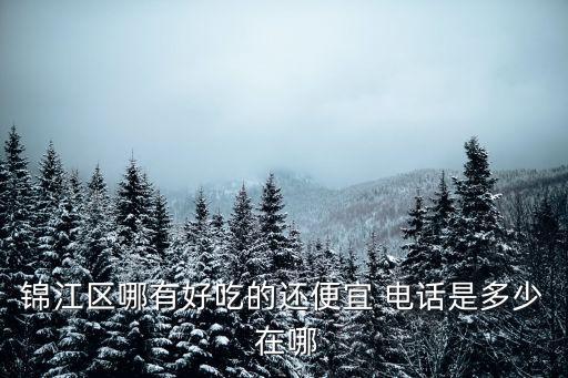 錦江區哪有好吃的還便宜 電話是多少 在哪