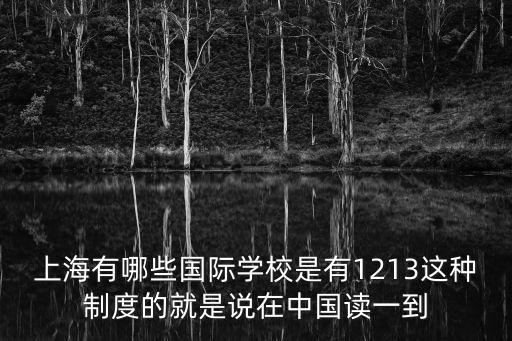 上海有哪些國際學校是有1213這種制度的就是說在中國讀一到