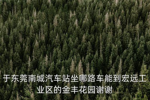 于東莞南城汽車站坐哪路車能到宏遠工業(yè)區(qū)的金豐花園謝謝