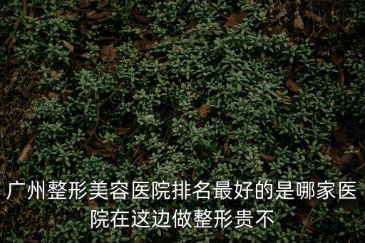 廣州整形美容醫(yī)院排名最好的是哪家醫(yī)院在這邊做整形貴不