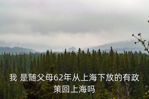 上海市政府要求暫緩回滬，我 是隨父母62年從上海下放的有政策回上海嗎