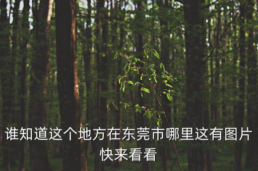 誰(shuí)知道這個(gè)地方在東莞市哪里這有圖片快來(lái)看看