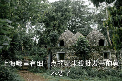 上海市米線批發在哪里，上海哪里有賣云南紅河涼米線