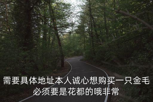 需要具體地址本人誠心想購買一只金毛必須要是花都的哦非常