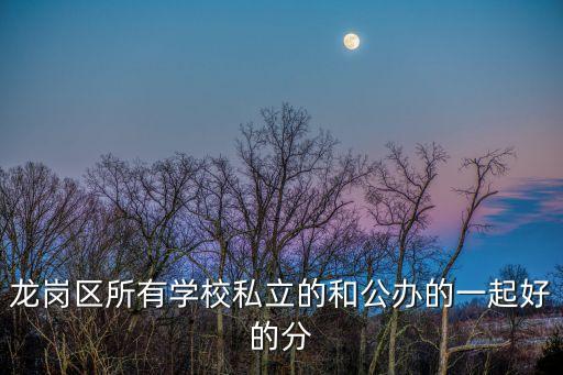 龍崗區所有學校私立的和公辦的一起好的分
