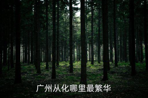 廣州從化區航拍，廣州市從化市