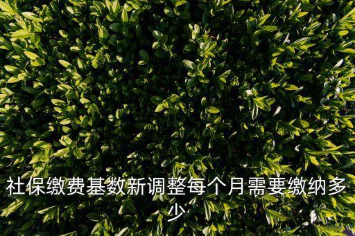 社保繳費基數新調整每個月需要繳納多少