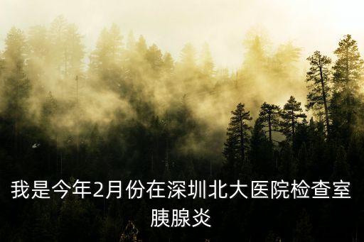 我是今年2月份在深圳北大醫院檢查室胰腺炎