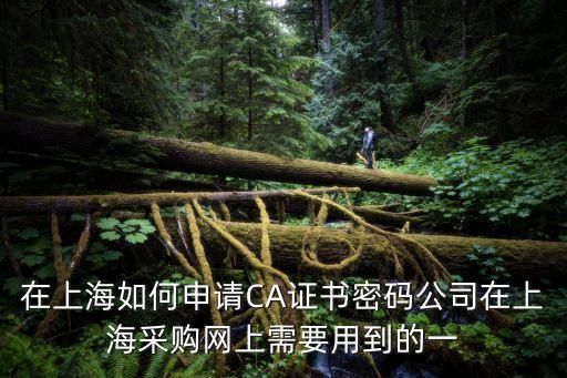 在上海如何申請CA證書密碼公司在上海采購網上需要用到的一