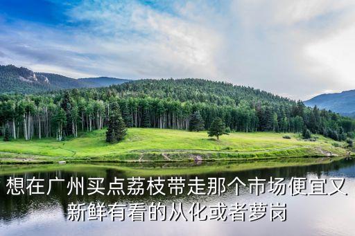 想在廣州買點荔枝帶走那個市場便宜又新鮮有看的從化或者蘿崗
