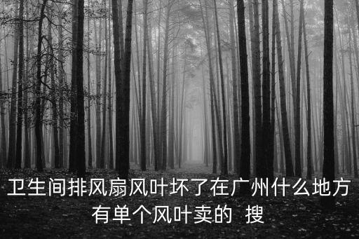 衛(wèi)生間排風(fēng)扇風(fēng)葉壞了在廣州什么地方有單個(gè)風(fēng)葉賣的  搜