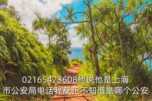 上海市練塘鎮(zhèn)朱建琦，上海青浦區(qū)練塘鎮(zhèn)副鎮(zhèn)長