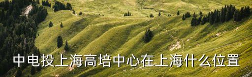 中電投上海高培中心在上海什么位置