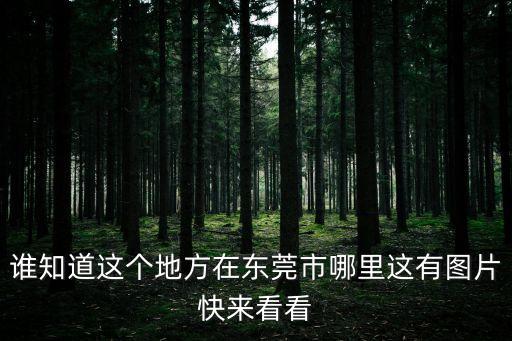 誰知道這個地方在東莞市哪里這有圖片快來看看