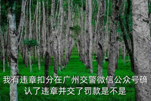 我有違章扣分在廣州交警微信公眾號確認了違章并交了罰款是不是