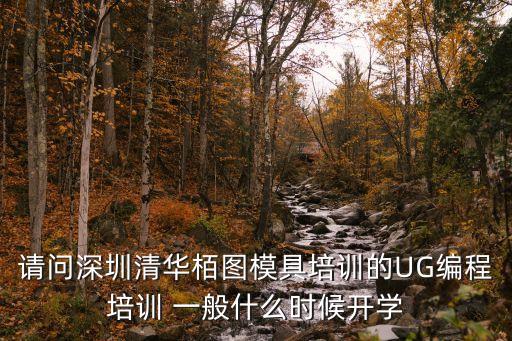 深圳校外培訓班開學時間，2013屆在新安誠教報讀深圳網(wǎng)絡(luò)教育開學時間