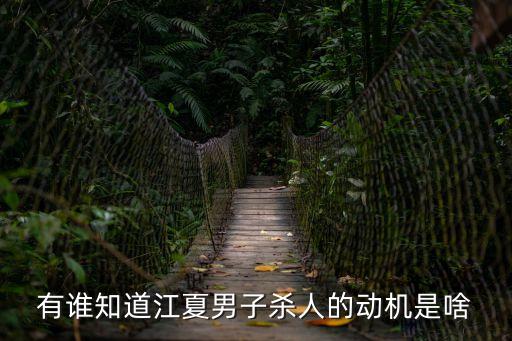 有誰知道江夏男子殺人的動(dòng)機(jī)是啥
