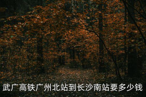 廣州北站至長沙火車，武廣高鐵廣州北站到長沙南站要多少錢