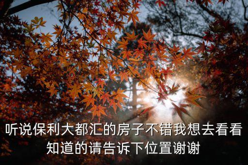 東莞保利大都會戶型圖，聽說保利大都匯的房子不錯我想去看看知道的請告訴下位置謝謝
