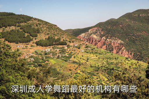 澳美滋深圳培訓基地，學吉他有什么好處深圳的培訓機構有哪些