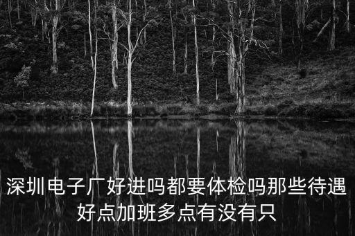 深圳延創興電子有限公司好不好，深圳電子廠好進嗎都要體檢嗎那些待遇好點加班多點有沒有只
