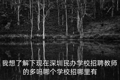 我想了解下現在深圳民辦學校招聘教師的多嗎哪個學校招哪里有