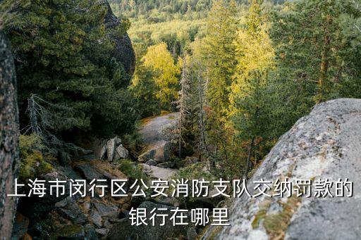 上海市閔行區馬橋鎮馬橋消防中隊，上海閔行區去哪里辦消防證