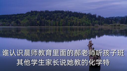 廣州郝老師教育，誰認識晨師教育里面的郝老師聽孩子班其他學生家長說她教的化學特