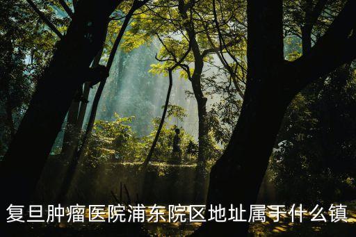 復(fù)旦腫瘤醫(yī)院浦東院區(qū)地址屬于什么鎮(zhèn)