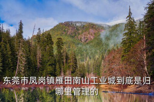 東莞鳳崗鎮舊改是政府項目嗎，鳳崗村屬于東莞市哪個區
