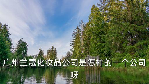 廣州蘭蔻化妝品公司是怎樣的一個公司呀