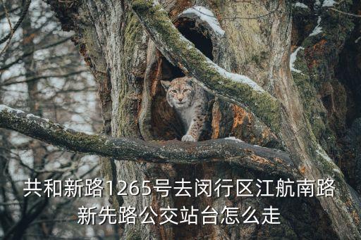 共和新路1265號(hào)去閔行區(qū)江航南路新先路公交站臺(tái)怎么走