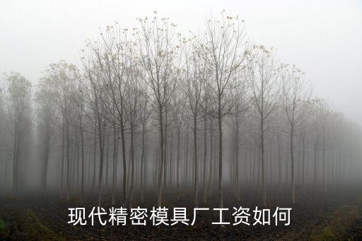 現代精密模具廠工資如何